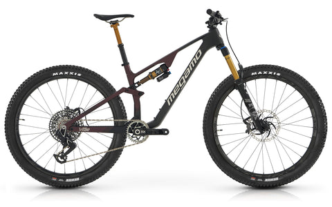 VTT MEGAMO VITAE 10 2024